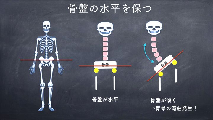 骨盤を水平に保つ
背骨が曲がる